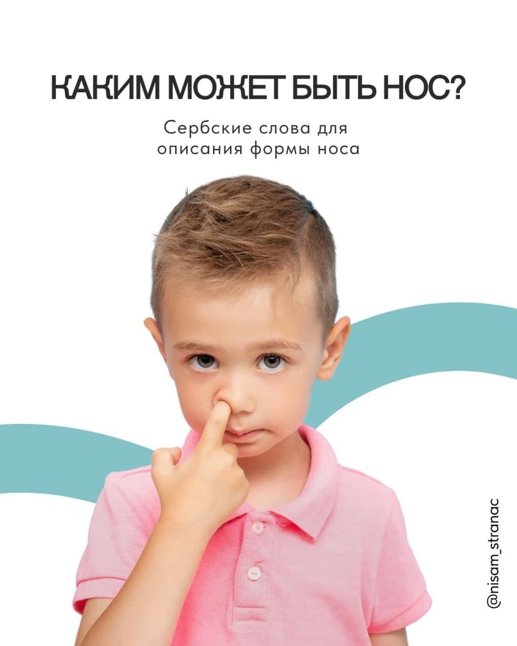 Карточка «Каким может быть нос?» — сербские слова для описания формы носа