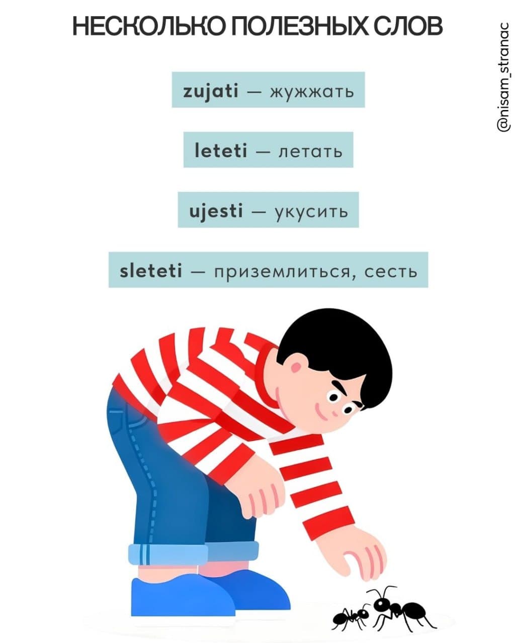 Карточка «Несколько полезных слов»: сербские глаголы zujati, leteti, ujesti, sleteti с переводом
